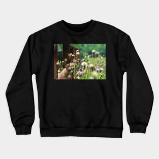 Summer Hazy Lazy Days of Nature Soft Focus Design face masks, Phone Cases, Apparel & Gifts Crewneck Sweatshirt